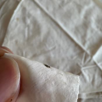 File Market'ten Aldığım Yufkada Böcek Şoku: Gıda Güvenliğine Dair Büyük Hayal Kırıklığı