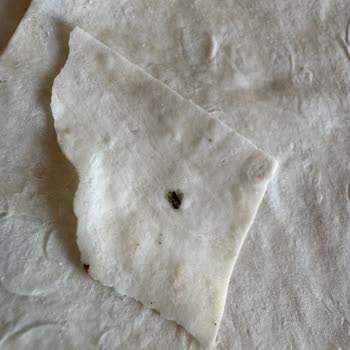 File Market'ten Aldığım Yufkada Böcek Şoku: Gıda Güvenliğine Dair Büyük Hayal Kırıklığı