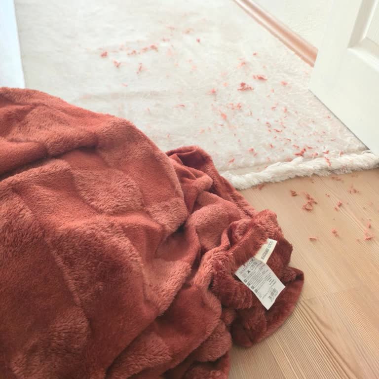 Madame Coco'dan Alınan Battaniyede Yoğun Tüy Dökülmesi Ve İletişim Sorunu
