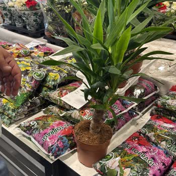 Zırhlı Toptan Market Etiket Fiyatından Satış Yapılmaması Ve Personel Davranışı