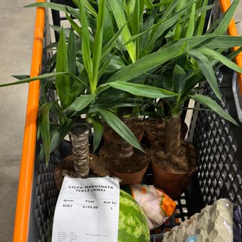 Zırhlı Toptan Market Etiket Fiyatından Satış Yapılmaması Ve Personel Davranışı