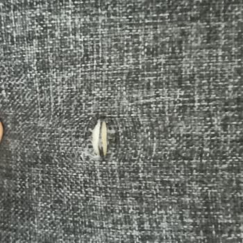 Vivense Mudanya Yolunda Toplu Alışverişte Yaşanan Kalite Ve Destek Hayal Kırıklığı