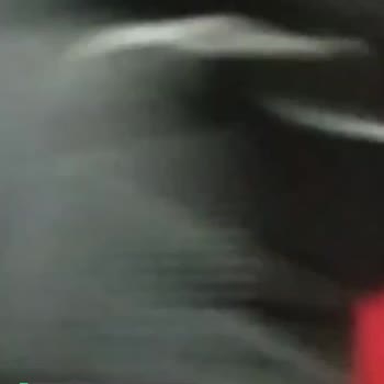 Mavi'den Aldığımız Montun Elyafları Kaydı!