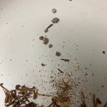 Kiraz Sapı Çayında Taş Çıkması Nedeniyle Güven Kaybı Ve Üretim Sürecinin İncelenmesi Talebi