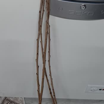 Sipariş Edilen Yaban Mersini Fidanlarının Vaat Edilen Özelliklerde Gönderilmemesi Ve İletişim Sorunu