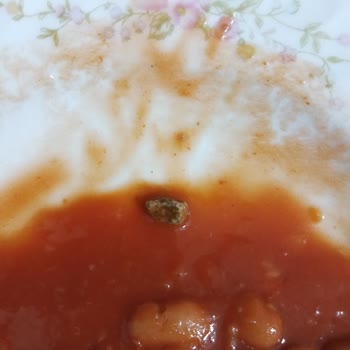 Konserve Barbunyadan Çakıl Taşı Çıkması Gıda Güvenliğini Tehdit Ediyor