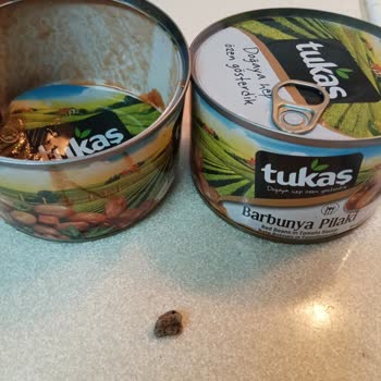 Konserve Barbunyadan Çakıl Taşı Çıkması Gıda Güvenliğini Tehdit Ediyor