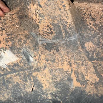 225 Saatte Lastiklerde Büyük Sorun: Garanti Dışı Bırakıldım