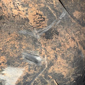 225 Saatte Lastiklerde Büyük Sorun: Garanti Dışı Bırakıldım