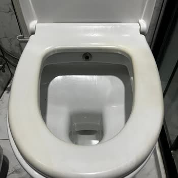 Kale Klozet Kapaklarında Sararma Ve Müşteri Hizmetlerinde Hayal Kırıklığı