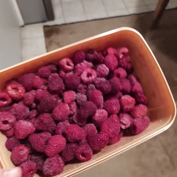 Getir Büyükten Gelen Erimiş Frambuazlar Ve Geciken Teslimat Deneyimim