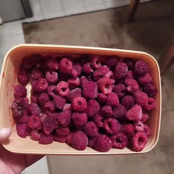 Getir Büyükten Gelen Erimiş Frambuazlar Ve Geciken Teslimat Deneyimim