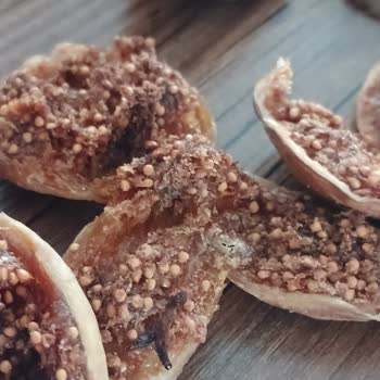 Enginarci.com.tr Bozuk Çıkan Ürün