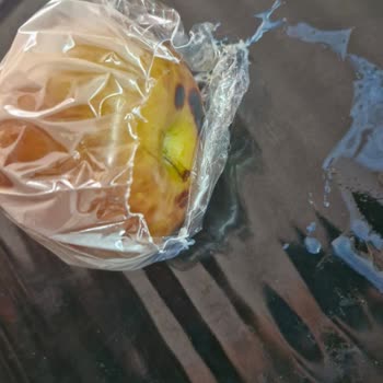 Fırın Torbası Eridi, Yemek Ve Tepsim Kullanılamaz Hale Geldi