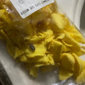 Aldığım Cips Paketlerinde Hijyenik Olmayan Maddelerle Karşılaştım