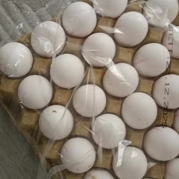 Türem Yumurta Küflenmiş