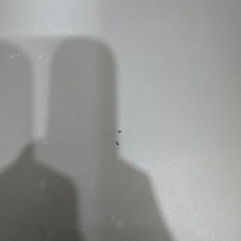 Yeni Alınan Granit Evyede Kısa Sürede Renk Atması Hayal Kırıklığı Yaşattı