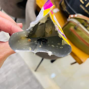 Şok Marketler Kendi Üretimleri Olan Free Cat İsimli Yaş Kedi Maması İçinden Böcek Çıktı