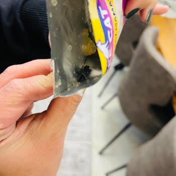 Şok Marketler Kendi Üretimleri Olan Free Cat İsimli Yaş Kedi Maması İçinden Böcek Çıktı