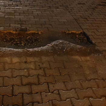 Ataevler Mahallesi'nde Uzun Süredir Devam Eden Yol Sorunu Ve Çözüm Beklentisi