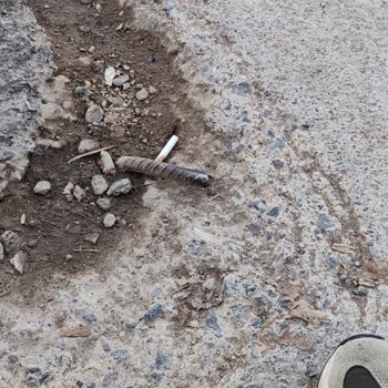 Ataevler Mahallesi'nde Uzun Süredir Devam Eden Yol Sorunu Ve Çözüm Beklentisi