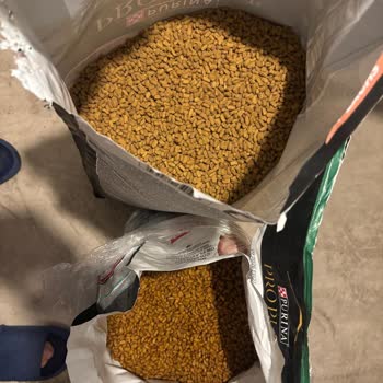 Çiçek Sepeti'nden Aldığım Kedi Maması Orijinal Değildi, Çözüm Bekliyorum