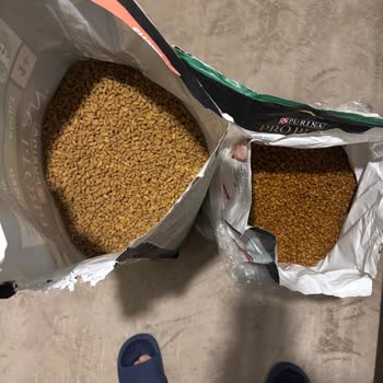 Çiçek Sepeti'nden Aldığım Kedi Maması Orijinal Değildi, Çözüm Bekliyorum