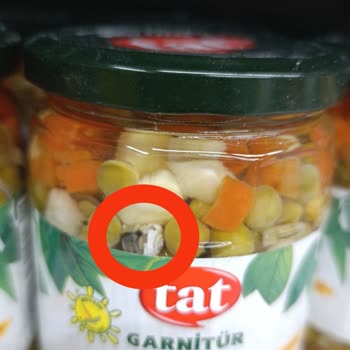 Tat Gıda Garnitürün İçinde Salyangoz İle Karşılaştım