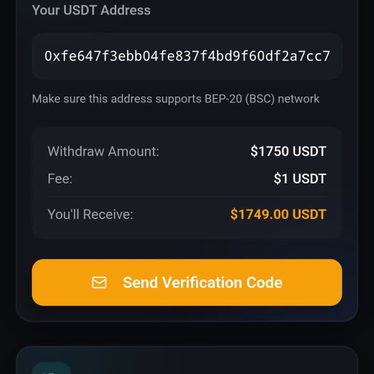 Copywagon Uygulamasında USDT Çekim Sorunu Ve İletişimsizlik