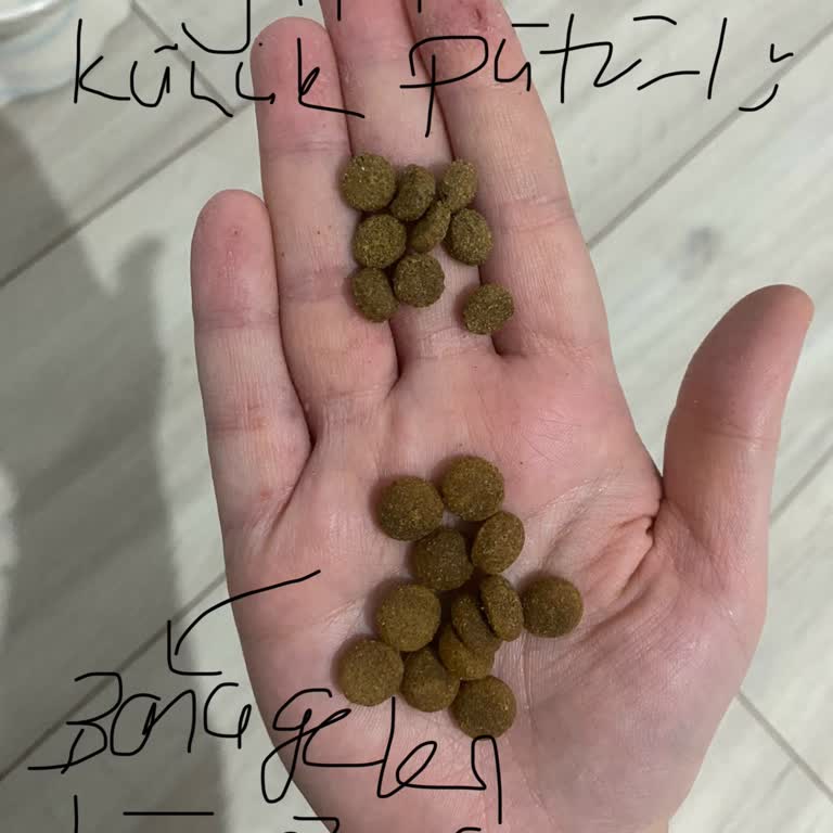 Sahte Mama Ve İlgisiz Müşteri Hizmetleriyle Yaşadığım Mağduriyet