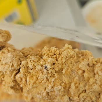 Lezita Tavuk Şinitzelin İçinden Sinek Çıktı Hijyen Ve Sağlık Riski Yaşadık