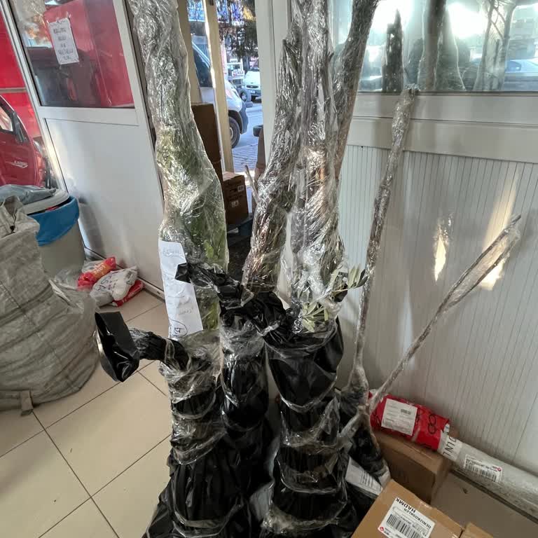 Aras Kargo Şubesinde Hatalı Desi Hesabı ve Fazla Ücret Şoku