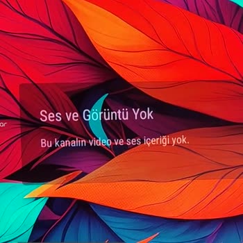 Bir Haftalık Onvo TV Kendi Kendine Kanal Siliyor!