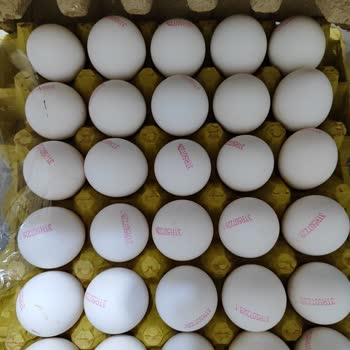 A101 Saraycık TOKİ Şubesinden Aldığım Yumurtalar Bozuk Çıktı Mağazada Sürekli Sorun Yaşıyorum