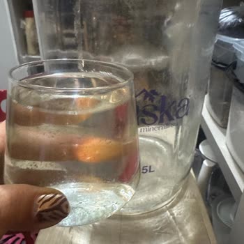 Fuska İç Kısmı Tamamen Yosunla Kaplı