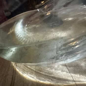 Fuska İç Kısmı Tamamen Yosunla Kaplı