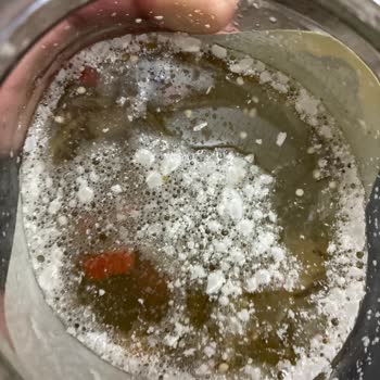 Son Kullanma Tarihi Geçmemiş Turşu 4 Günde Küflendi, Değişim Ve İnceleme Talebi