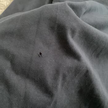 Samsung Çamaşır Ve Kurutma Makineleri Kıyafetlerimi Yırtıyor, Mağduriyetim Bitmiyor