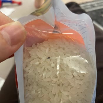 Hasata Satın Aldığım Pirinçte Böceklenme: Sağlık ve Güven Sorunu