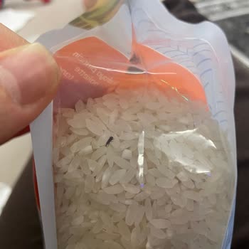 Hasata Satın Aldığım Pirinçte Böceklenme: Sağlık ve Güven Sorunu