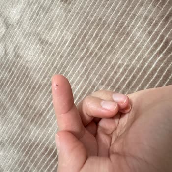 Glutensiz Unun İçinden Çıkan Siyah Parçalar Ekmek Keyfimi Bozuyor