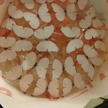 Eksik Ürün Gönderimi Ve Çözüm İçin Geri Dönüş Sağlanmaması