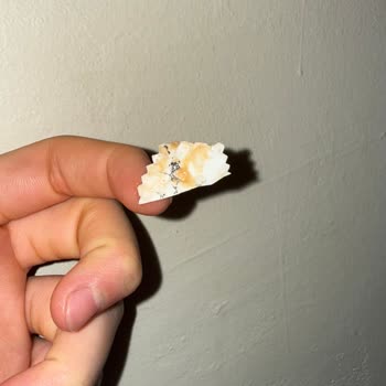 Çikolata İçinden Yabancı Kağıt Parçası Çıkması Ve Sağlık Endişesi