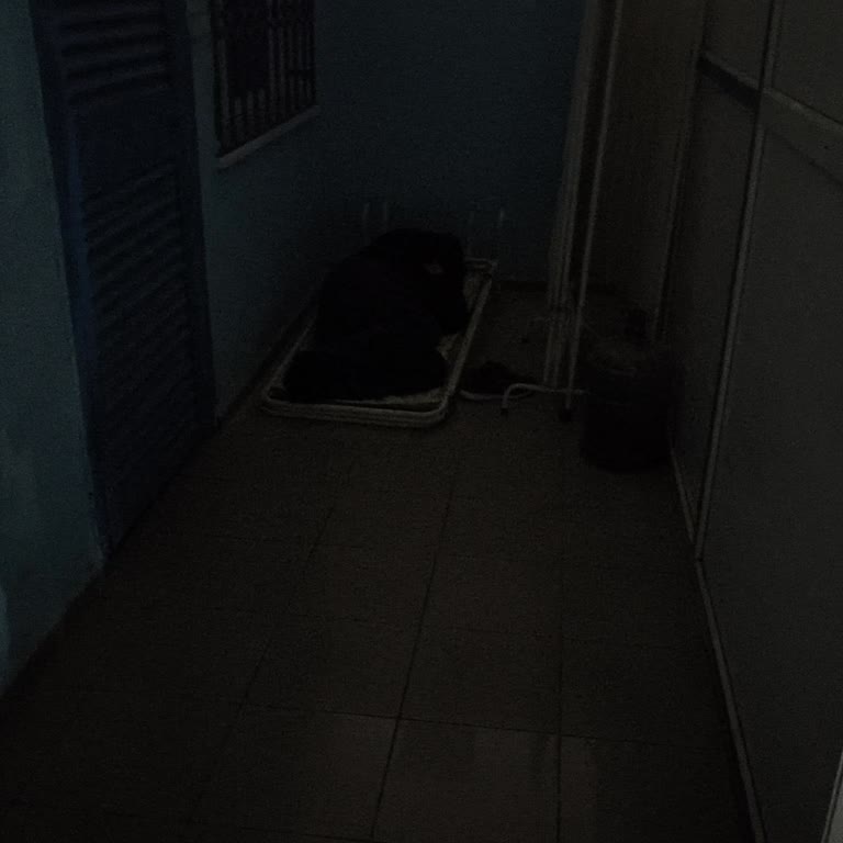 Liman Bekleme Koşulları Ve Mağduriyet: Temel İhtiyaçlar Karşılanmıyor!