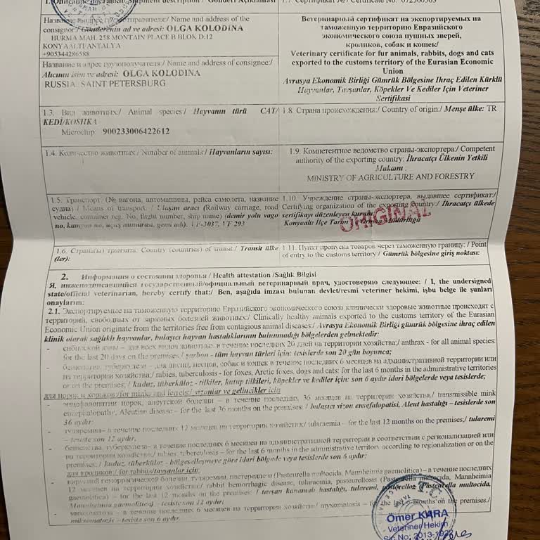 Ajet Rezervasyon Hatası Nedeniyle Evcil Hayvanım Uçamadı Ve Mağdur Edildim