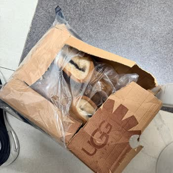 Lovesneakertr Fahiş Fiyatla Satılan Kalitesiz Ürün ve İade Taleplerine Cevapsız Kalınması