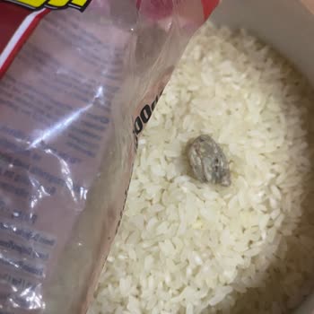 Çevik Bakliyat Pirinçte Hijyen Sorunu Ve Sağlık Riski: Acil Açıklama Ve Telafi Talebi!