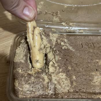 Helva İçinden Yabancı Cisim Çıkmasıyla Yaşanan Güven Sorunu