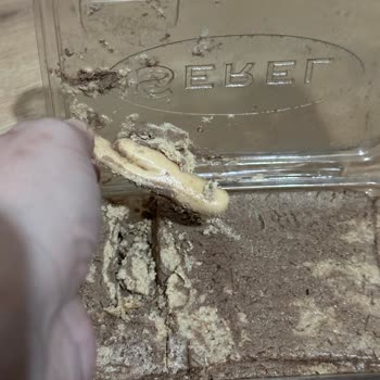 Helva İçinden Yabancı Cisim Çıkmasıyla Yaşanan Güven Sorunu