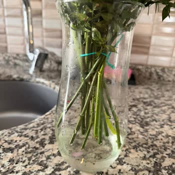 Çiçek Market Hijyenik Olmayan Ürün Ve Yetersiz Çözüm: Ücret İadesi Talebim!